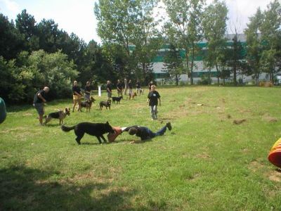 Κάντε κλικ για να δείτε την εικόνα σε πλήρες μέγεθος