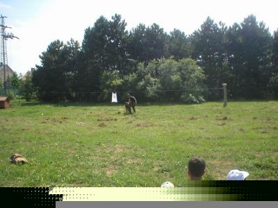 Premi per vedere l'immagine alla massima grandezza