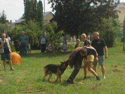 Натисніть, щоб побачити повний розмір