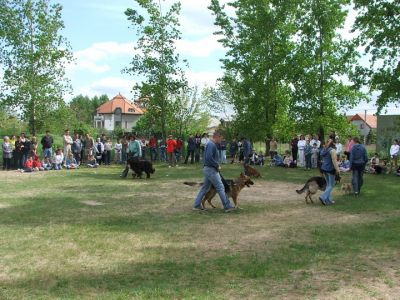 Klõpsa pildi vaatamiseks täissuuruses