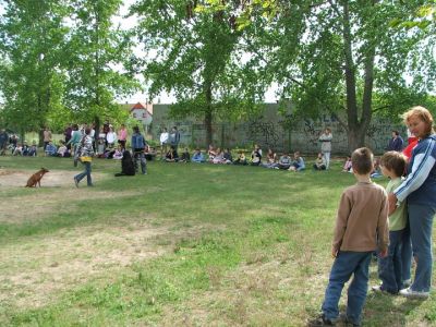 Натисніть, щоб побачити повний розмір