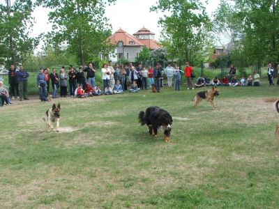 Натиснете за да видите снимката уголемена