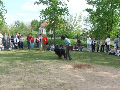 Kliknite da vidite sliku u punoj veličini