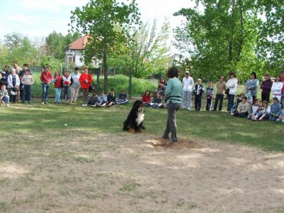 Kliknite da vidite sliku u punoj veličini