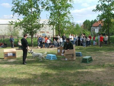 Kliknij aby zobaczyć pełny rozmiar