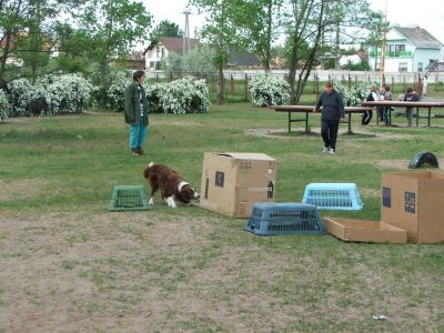 Натисніть, щоб побачити повний розмір