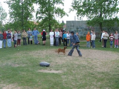 A teljes méretű képhez kattints ide