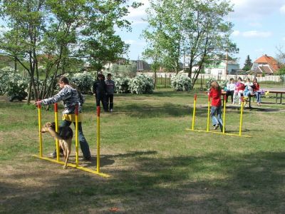 Натисніть, щоб побачити повний розмір