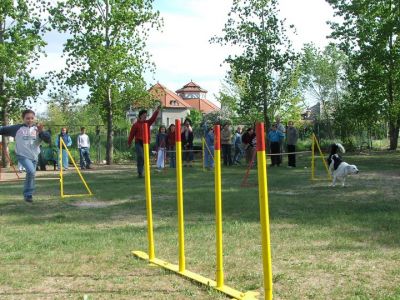 Premi per vedere l'immagine alla massima grandezza