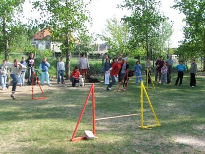 Klikni za ogled večje slike