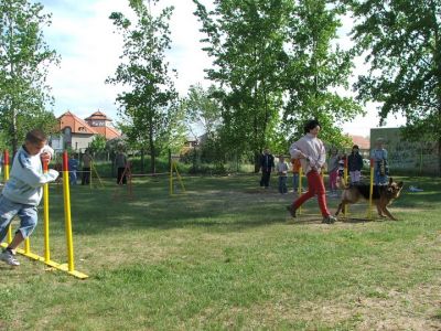 Натисніть, щоб побачити повний розмір