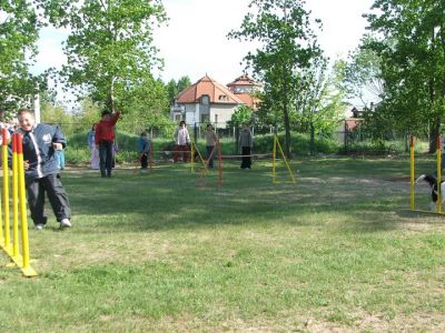 Tam boy resmi görebilmek için tıklayın