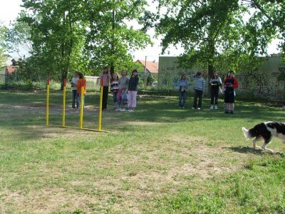 Klõpsa pildi vaatamiseks täissuuruses