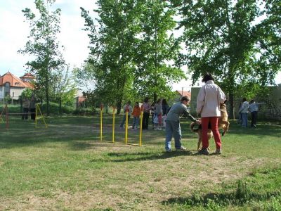 Kliknite da vidite sliku u punoj veličini