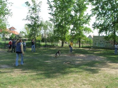 A teljes méretű képhez kattints ide