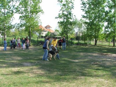 Kliknite da vidite sliku u punoj veličini