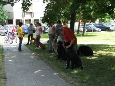 A teljes méretű képhez kattints ide