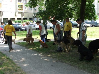 Натиснете за да видите снимката уголемена