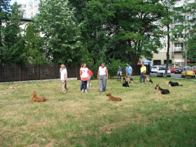 A teljes méretű képhez kattints ide