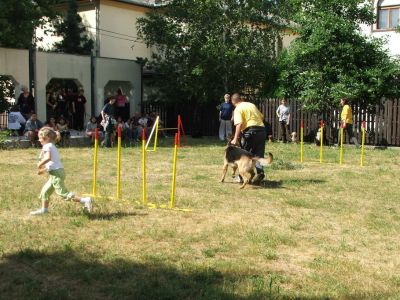 A teljes méretű képhez kattints ide