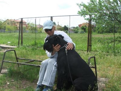 A teljes méretű képhez kattints ide