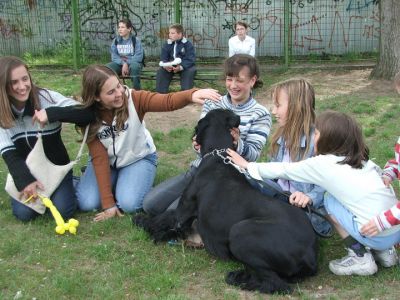 A teljes méretű képhez kattints ide