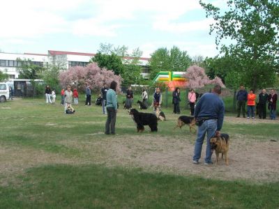 A teljes méretű képhez kattints ide