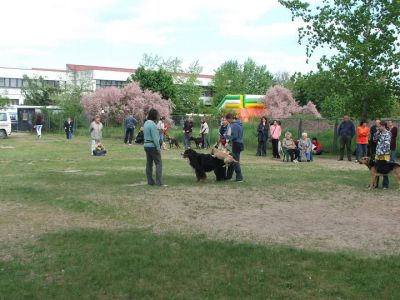 A teljes méretű képhez kattints ide