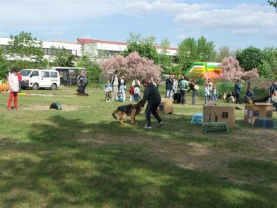 A teljes méretű képhez kattints ide