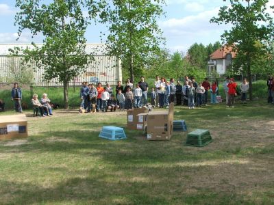 Klõpsa pildi vaatamiseks täissuuruses