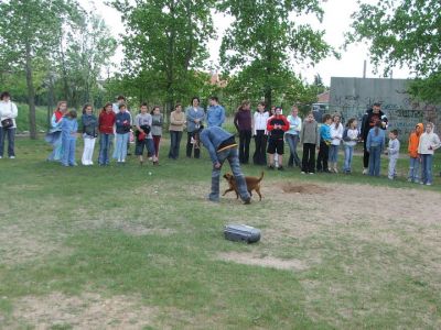 A teljes méretű képhez kattints ide