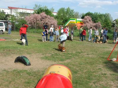 A teljes méretű képhez kattints ide