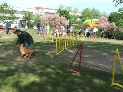 A teljes méretű képhez kattints ide