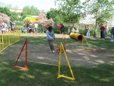 Натисніть, щоб побачити повний розмір