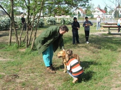 Kliknite da vidite sliku u punoj veličini