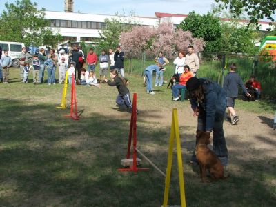 A teljes méretű képhez kattints ide