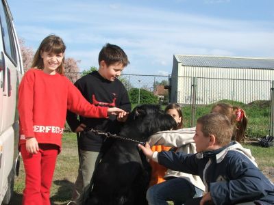 A teljes méretű képhez kattints ide