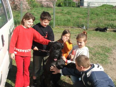 A teljes méretű képhez kattints ide