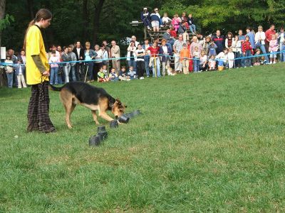 Kliknite da vidite sliku u punoj veličini