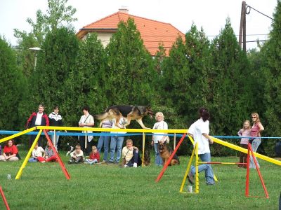 Kliknite da vidite sliku u punoj veličini