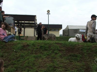 Натисніть, щоб побачити повний розмір
