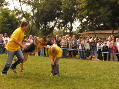 A teljes méretű képhez kattints ide