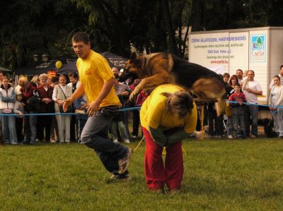 A teljes méretű képhez kattints ide