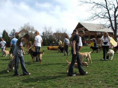 Натисніть, щоб побачити повний розмір