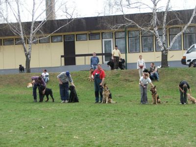 A teljes méretű képhez kattints ide