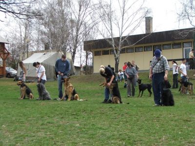 A teljes méretű képhez kattints ide