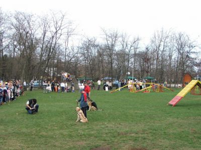 Klõpsa pildi vaatamiseks täissuuruses