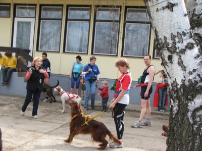 A teljes méretű képhez kattints ide