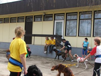 A teljes méretű képhez kattints ide