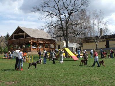 A teljes méretű képhez kattints ide